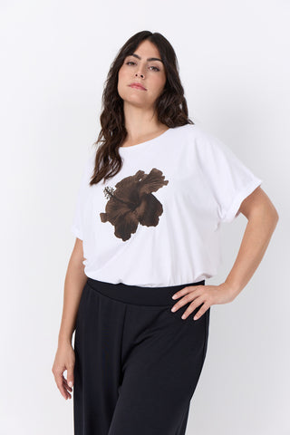 WA-HELENE 1